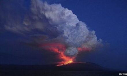 En la Isla Isabela entra en erupción el volcán wolf