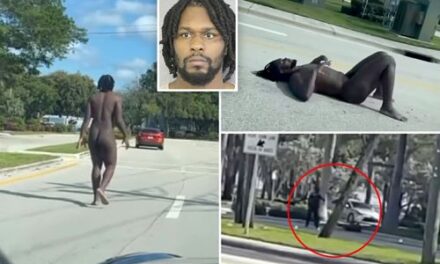 Malik McDowell, arrestado desnudo después de un “ataque violento”.