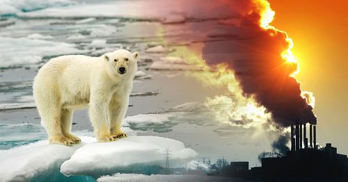 El calentamiento global sigue afectando al mundo