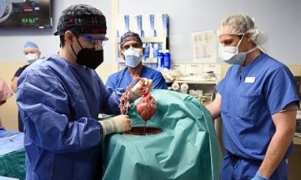 Primer trasplante de un corazón de cerdo a un humano