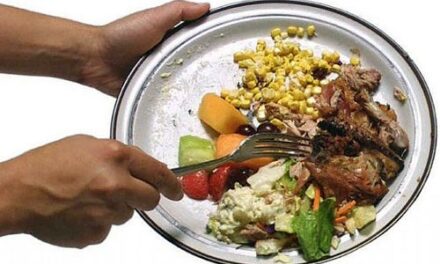 Alimentos desechados: el desperdicio de comida es un problema mundial.