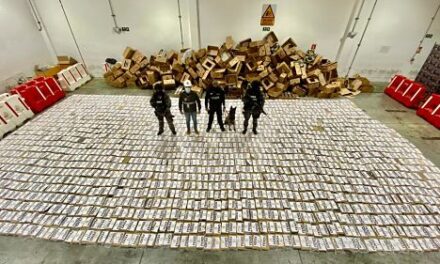 Cerca de dos toneladas de droga encontradas en cajas de banano