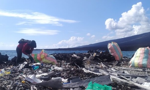 3,6 toneladas de basura en limpieza de isla alejada de Galápagos