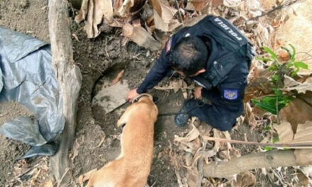 Encuentran droga oculta bajo tierra en finca del Guayas