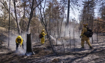 En California el segundo incendio ha arrasado ya unas 6.300 hectáreas