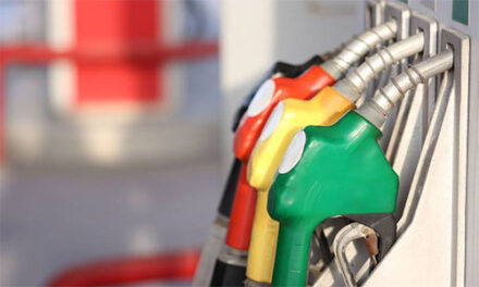 En que se diferencia la gasolina eco plus 89 de las otras