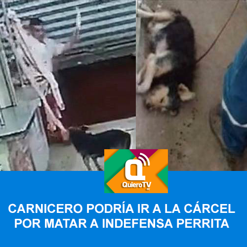 Carnicero asesino