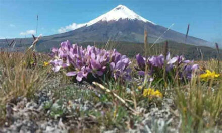 Actividad volcánica del Cotopaxi obliga a cerrar el parque nacional