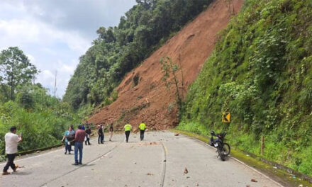 Emergencia vial en Azuay, terremoto deja varias afectaciones