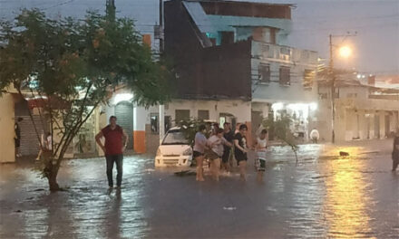 Inundaciones heridos y árboles caídos dejan lluvias en Guayaquil