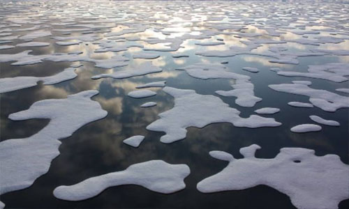Ya no se puede salvar el Ártico según expertos