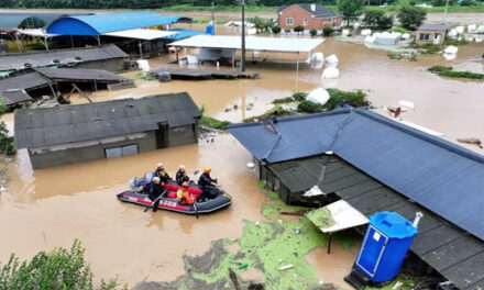 Ciclón Khanun dejó importantes daños en el sur de la península coreana
