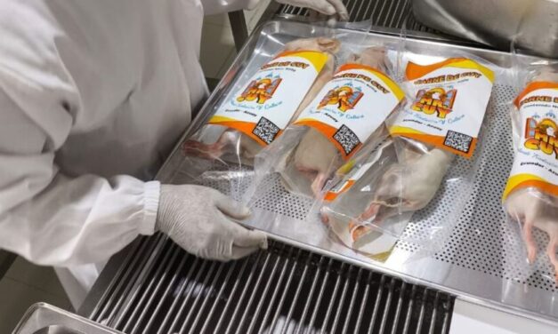 El primer lote de cuyes ecuatorianos ha sido exportado a los Estados Unidos.