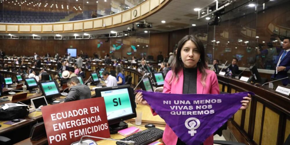 La Asamblea pide al Gobierno que se declare en estado de emergencia al sistema nacional , por los casos de Femicidio.