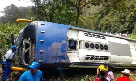 Un bus cayó a un abismo en la vía Aloag-Santo Domingo.