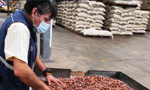 Exportacion de cacao